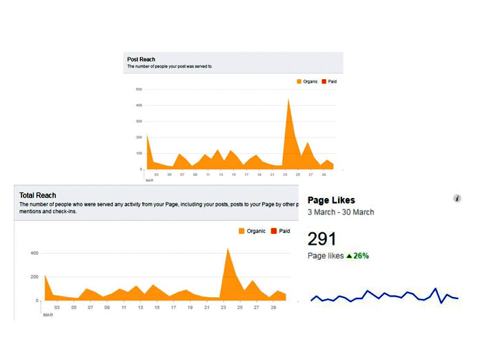 Rise in fb page likes